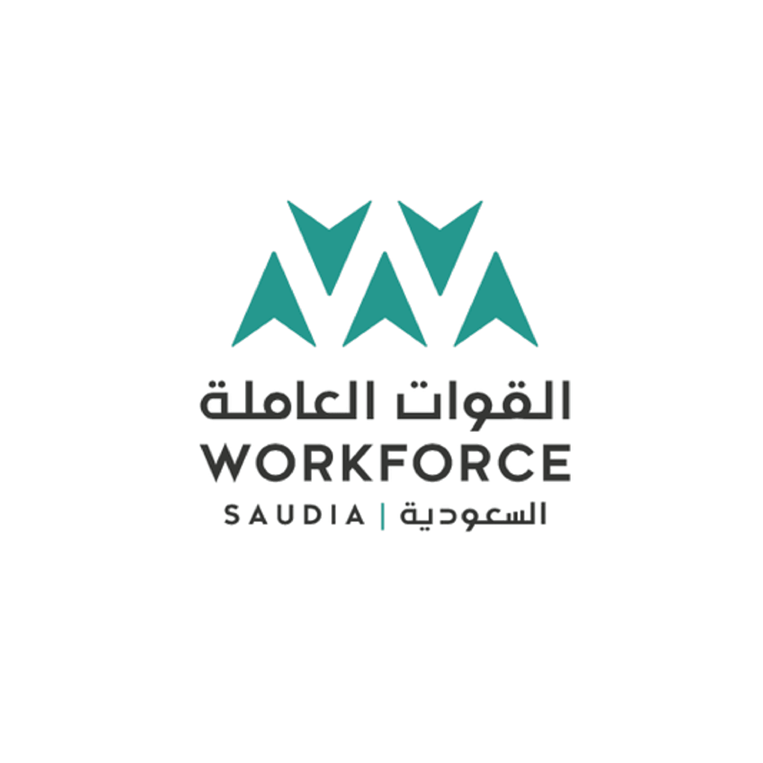  Omar Kassem Alesayi Group